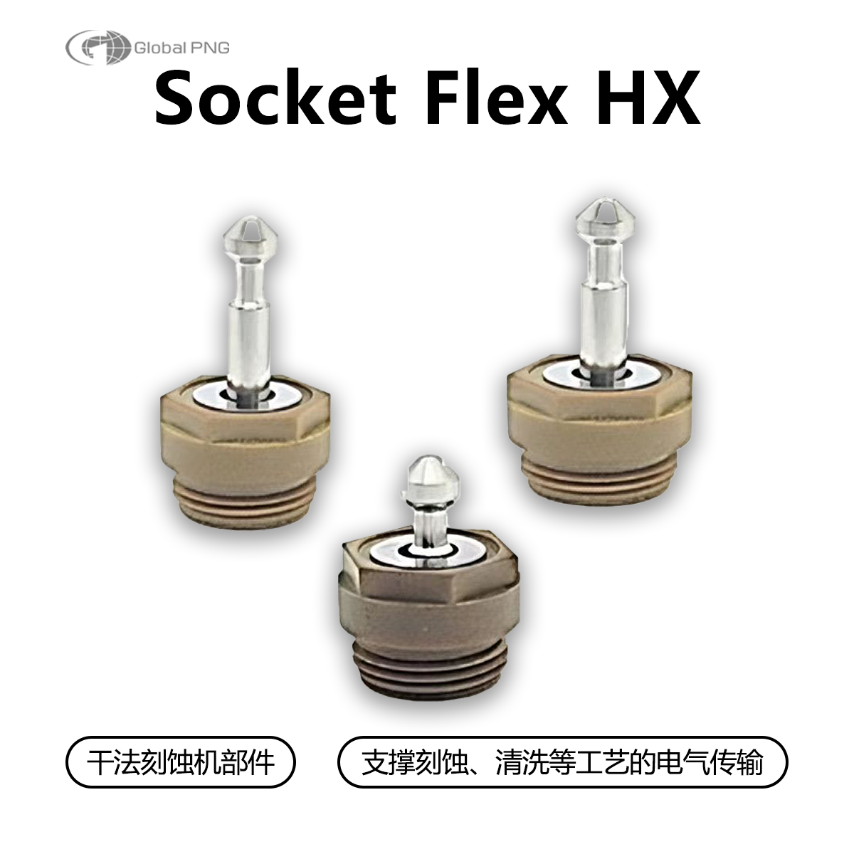 Socket Fle