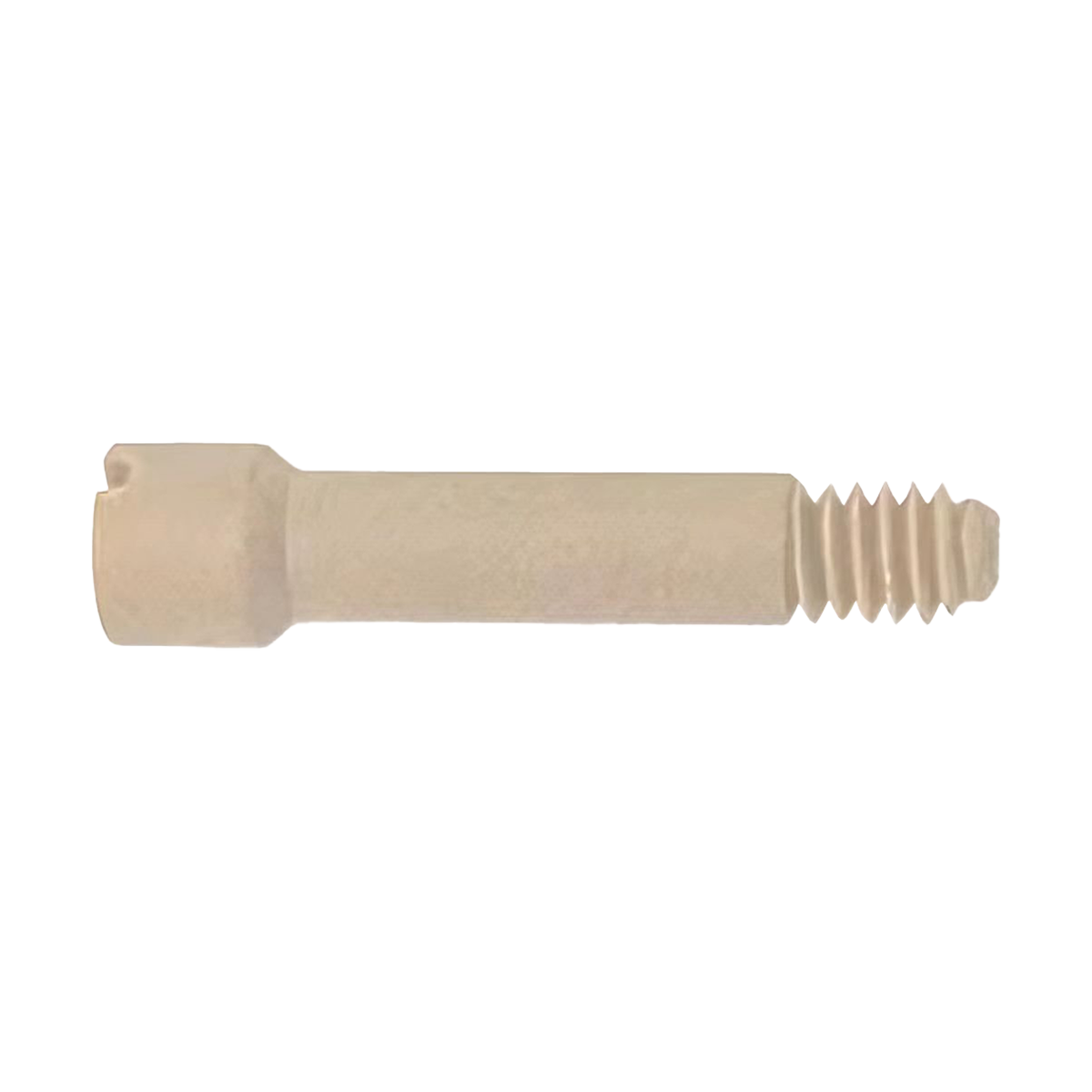 PKG,SCREW,