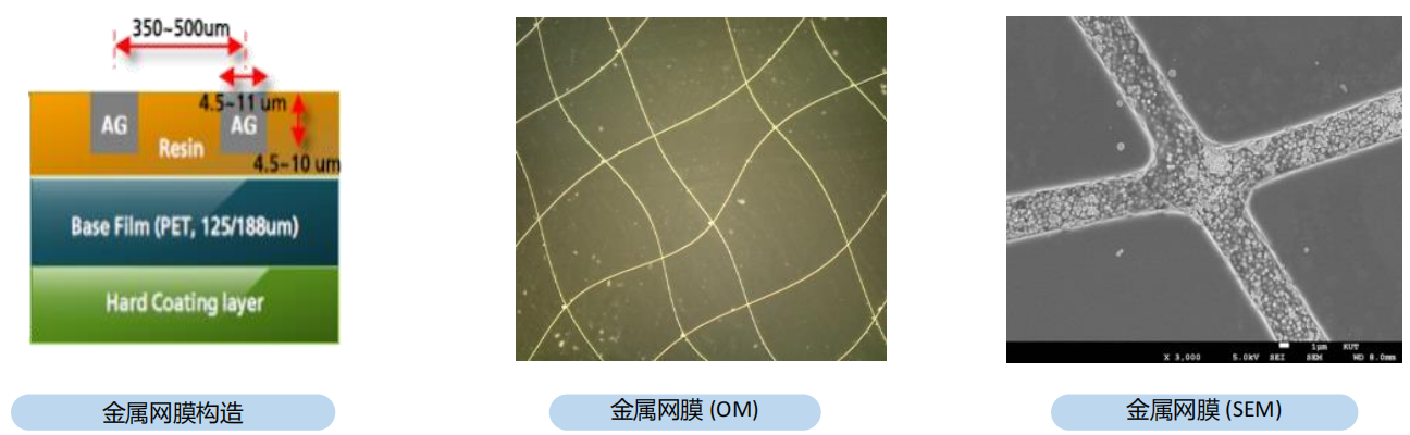 12f65016-acf9-435f-9fb1-9bd140c1a34a.png