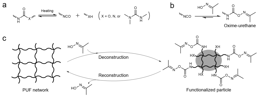 60c0ab25-a0b1-4483-b93e-58c01fa61de1.png