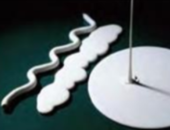 8db91341-bef1-4b6f-896c-867838febda3 8db91341-bef1-4b6f-896c-867838febda3.png